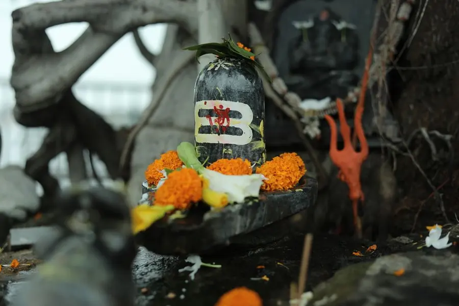 Laghu Rudrabhishek